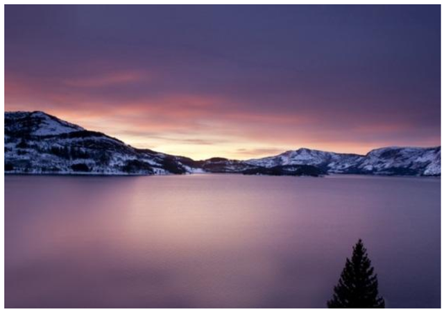 生活疲惫无助累的句子，心里难受压抑怎么办（关于生活很累很现实的说说）
