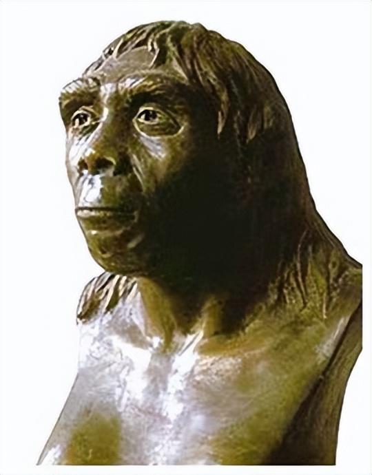 《中国官制史》—迈向文明的"原始社会氏族组织"时期(一)