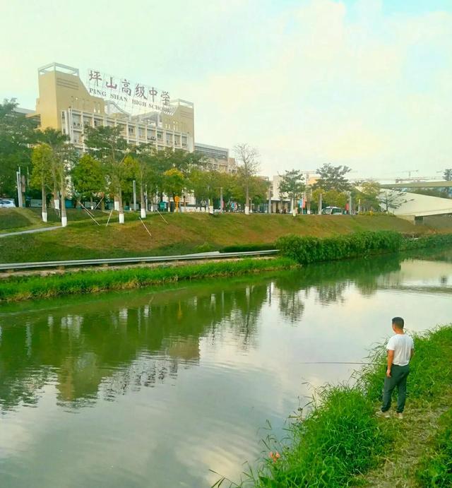 深圳哪里可以钓鱼，深圳哪里可以钓鱼野点更好高分哦（深圳这3个地方免费钓鱼）