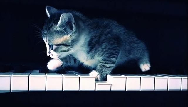 有哪些优秀的双钢琴曲目，好听的双钢琴曲目（车尔尼钢琴练习曲有什么特点）