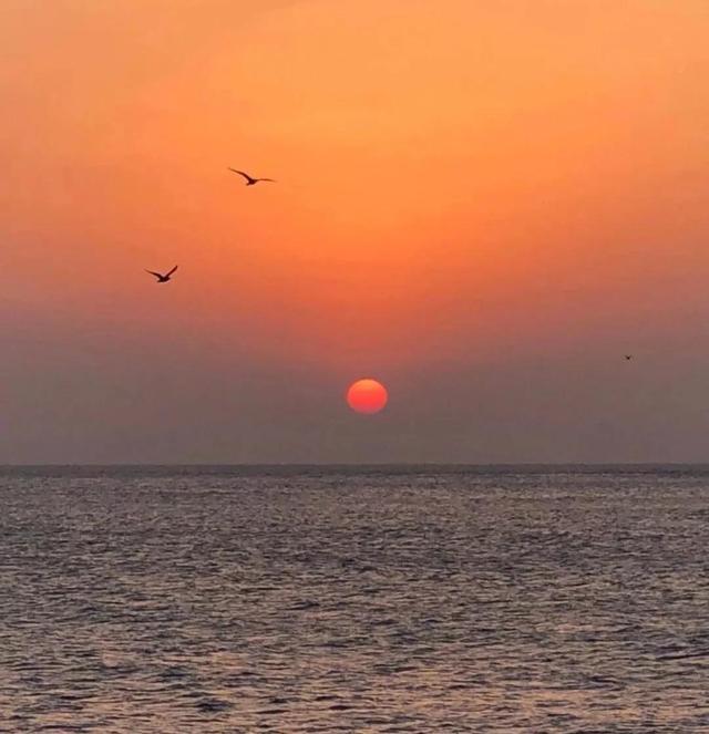 感情是指爱情还是友情，友情与爱情之间的区别是什么（什么是感情）