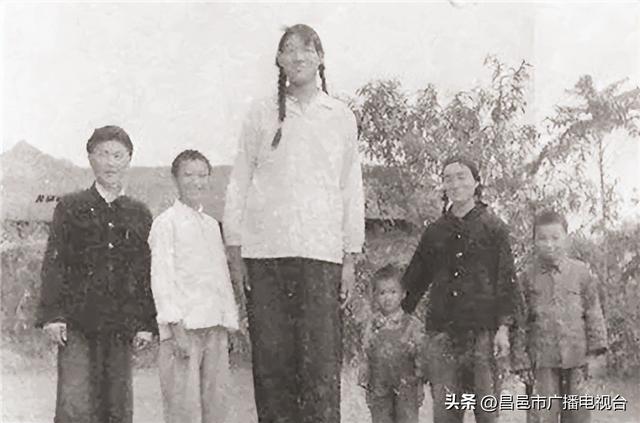 女巨人的真实身份，进击的巨人中九大巨人真实身份（女巨人曾金莲：高2.48米）
