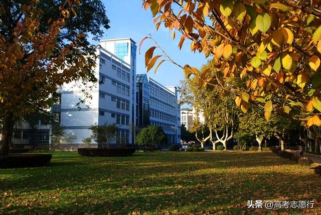 南京农业大学是几本，南京农业大学几本大学（偏冷的农林类院校）