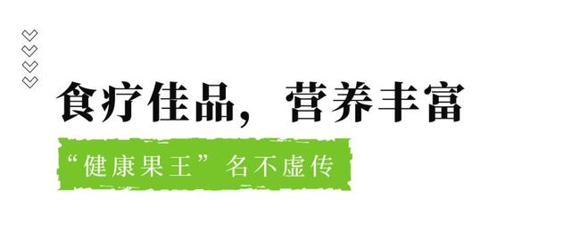 网纹瓜的功效与作用及禁忌，网纹瓜有什么营养和功效（瓜界网红“海阳网纹瓜”）