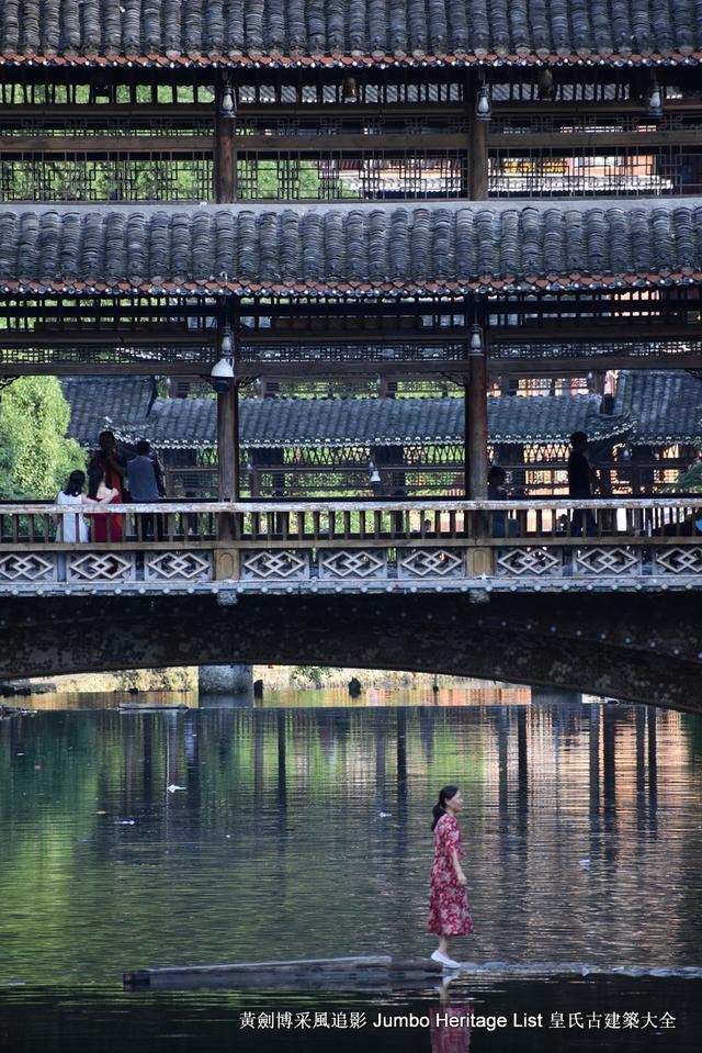 黔南布依族苗族州，娃娃鱼图片大全大图