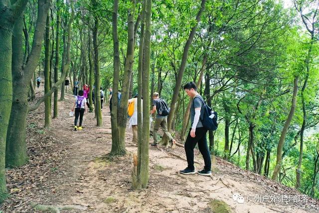 森林天坑怎么下去，迷失森林怎么下天坑（油麻山 防空洞 天坑）