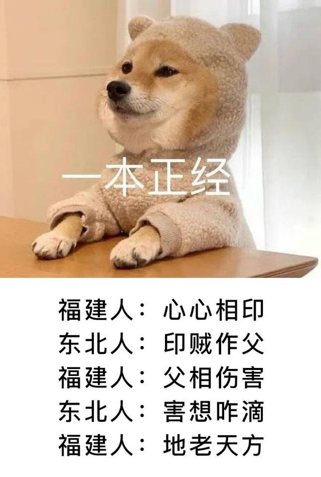 打call是什么意思，call是什么意思（可真的太有魅力了）