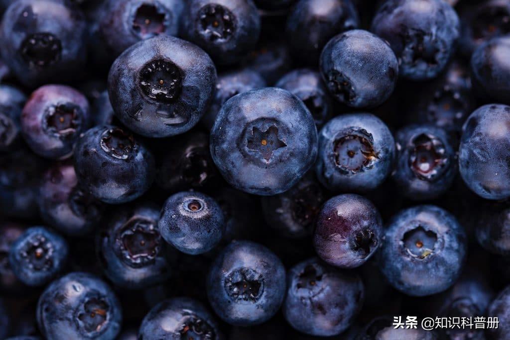 血压低吃什么食物，血压低吃什么食物补的最快（可以吃15种食物<建议收藏>）