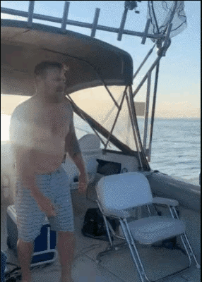 海母和水母区别，海母和水母图片大全（罕见的36张照片）