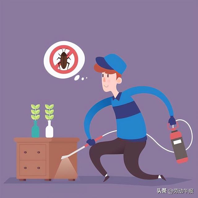 如何灭蟑螂最有效，如何灭蟑螂最有效小妙招（家里蟑螂抓不完）