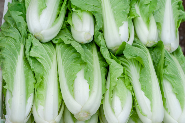 有寓意的蔬菜水果，有寓意的蔬菜水果名字大全（寓意兔年发财又顺利）