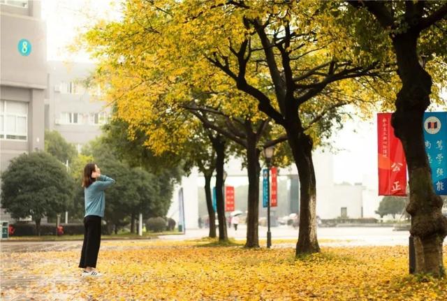 宁波城市职业技术学院官网，2021宁波城市职业技术学院地址在哪里（宁波城市职业技术学院2022年高职提前招生章程）