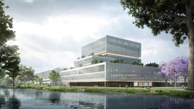 上海各大高校地址，上海各区高校（来看这所高校浦东校区的规划方案→）