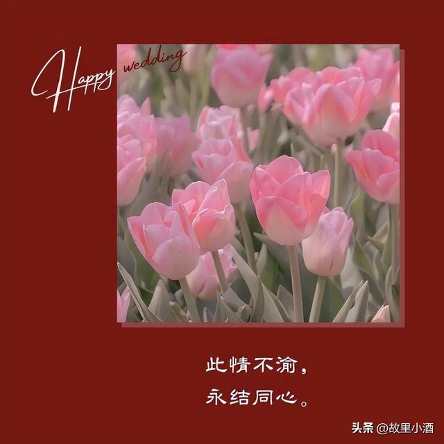 新婚祝福简短话，新婚祝福小短句（新婚祝福语：举案齐眉）