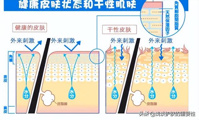 春夏护肤品怎么样，春夏护肤品怎么样适合什么年龄（春夏换季水乳怎么选）