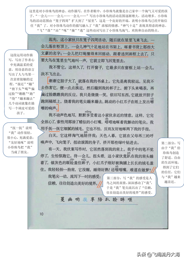 享的拼音，享的拼音组词（小学五年级上语文4课《珍珠鸟》课堂笔记、阅读题及练习题）