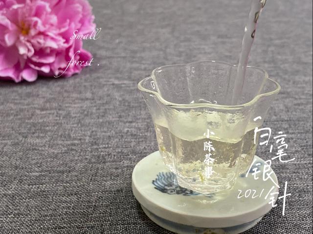 白毫银针怎么泡，白毫银针如何冲泡（好几千买的白毫银针）