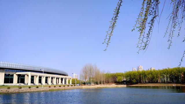 历史学考研专业，历史专业考研考什么（总结四个人文社科类专业）