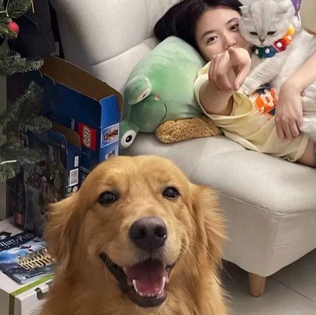 猫系女孩，微信头像，猫系女孩（女生头像：抱猫头像）