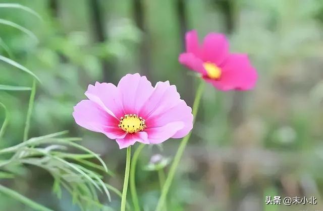 个人特质有哪些，一个人的特质有哪些（往往有以下五个特点）