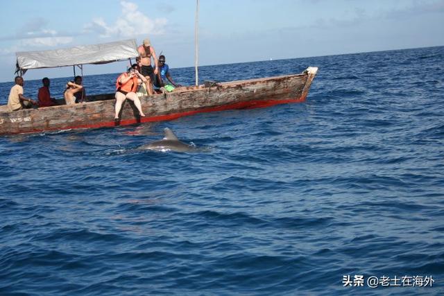 坦桑尼亚首都是哪，坦桑尼亚首都在哪里（坦桑尼亚是一个怎么样的国家）