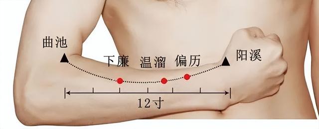 列缺穴穴位位置图及作用，专治结节、囊肿和包块