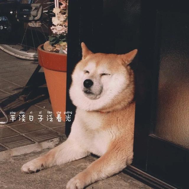 逼图，微信头像，逼图（微信头像+背景图片2022最火爆）