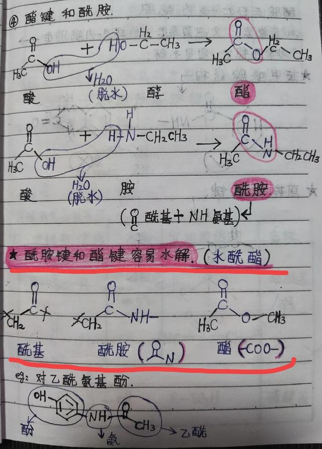 酰基和羰基的区别，酰胺键和酰胺基的区别（执业药师零基础免费学）