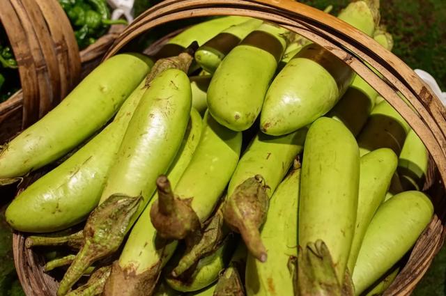 景德镇美食，景德镇美食美客订餐电话（这座好吃小城快出圈吧）