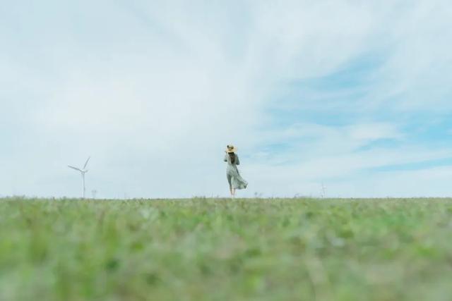 新三从四德指的是什么，新三从四德指的是什么台湾（人到中年方懂：所有的家庭关系）