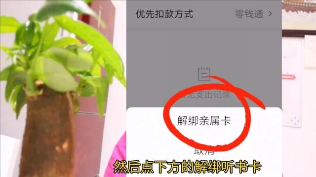 新微信号怎样开通微信支付，新微信号怎样开通微信支付码（微信里没有零钱未绑银行卡）