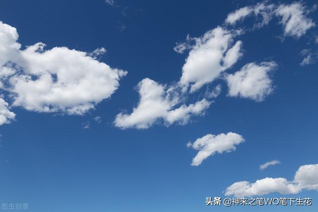 天下君王莫非王土，莫非王土；率土之滨