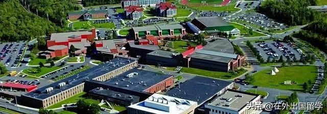 生物科学考研可以选的学校，生物科学专业考研学校排名（加拿大硕士留学申请丨这些要求相对较低的学校和专业了解下）