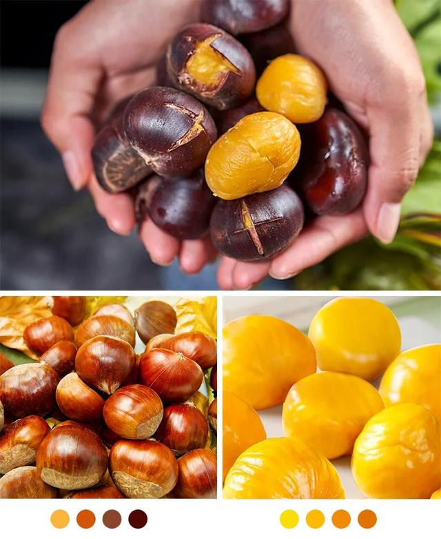 秋天的画简单又漂亮，秋天的儿童画怎么画（秋季趣味写生课程《好吃的炒板栗》）