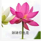 微信头像｜精选朋友圈优质头像，精选优质微信头像大全（头像 ， 朋友圈里最靓的头像）