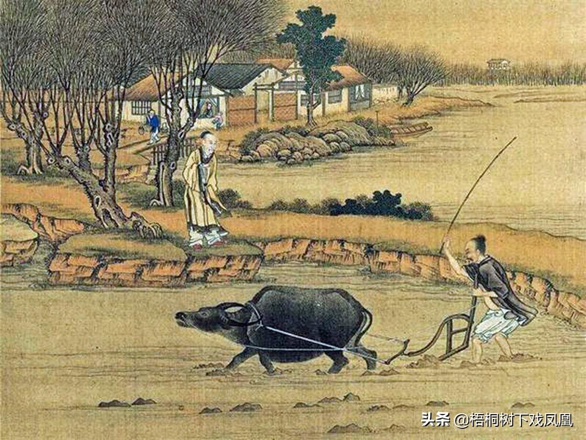 水虎年是什么意思，水虎命是什么意思（“五牛耕田、八龙治水”）