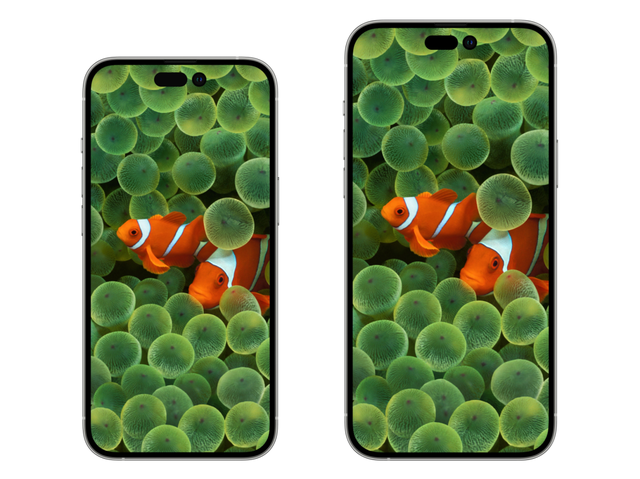 苹果12开不了机，苹果12开不了机怎么办（14的烂，终于有人敢说）