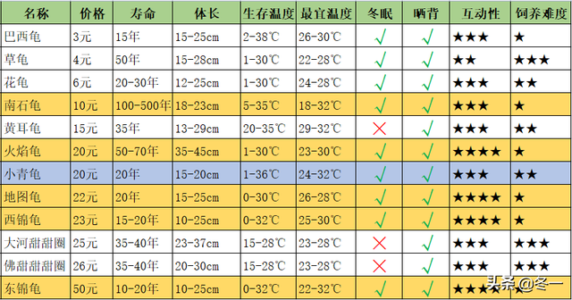 石龟的前世今生，越南石龟广西石龟区别（新手必须了解的避坑指南）