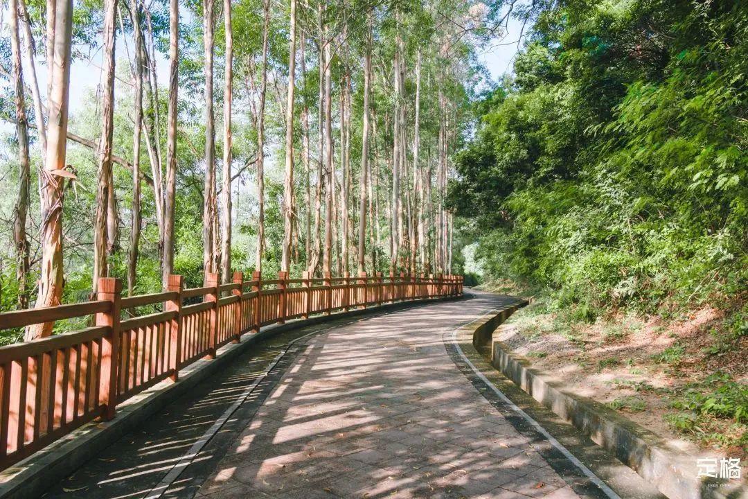 宝安中心地铁站(宝安客运中心附近地铁站)