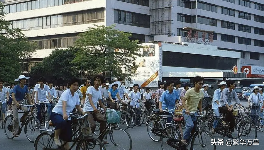 广州多少个区(上海市行政区划图2021)