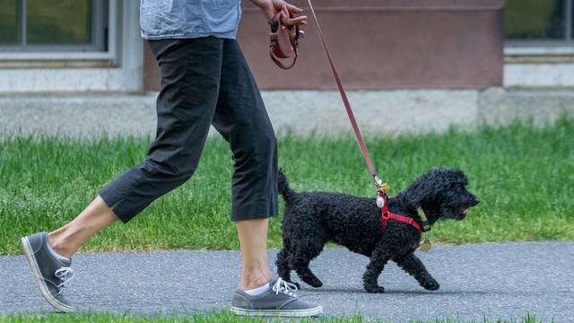 变态是什么样的人，怎样判断一个人是否有变态心理（你身边可能潜藏着2个以上的心理变态）