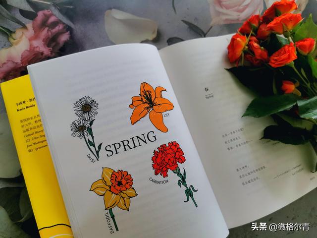 玫瑰的花语和它的传说，玫瑰的花语和它的传说有关（花朵在人类文明中的历史故事）