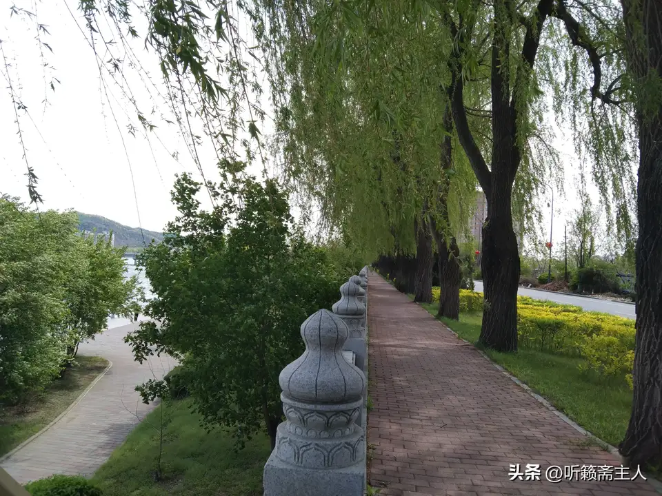 小铭切瓜丨李某某因严重侮辱人民军队被立案调查 立案调查与立案侦查有啥区别？