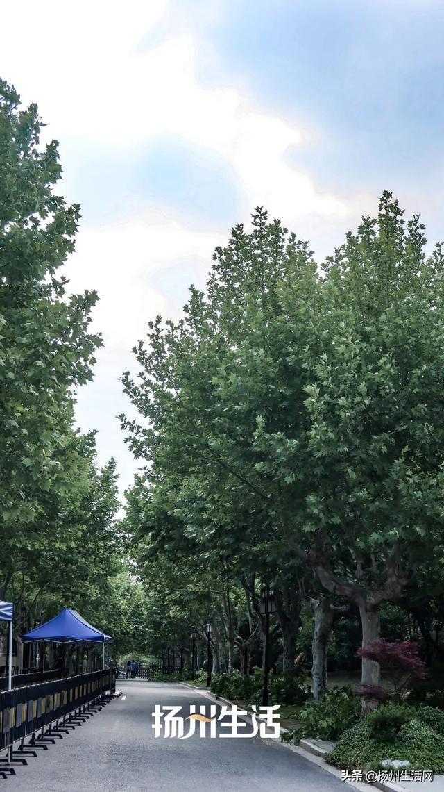 扬州历史文化景点，扬州最容易被忽视的古城遗址