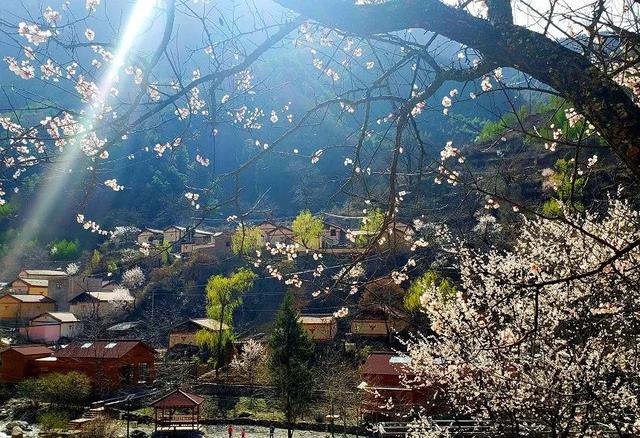 陇南市旅游景点，陇南旅游必去景点攻略（畅游陇南甘南）