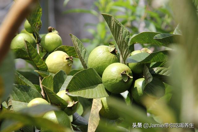 火龙果的热量，红心火龙果的热量（减肥建议常吃这几种水果）