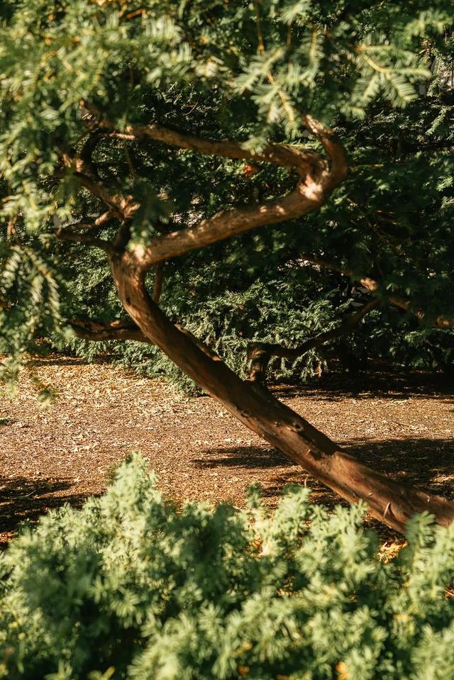 摄影的意义与价值，摄影对孩子意义与价值（戴显婧：从摄影师到导演）