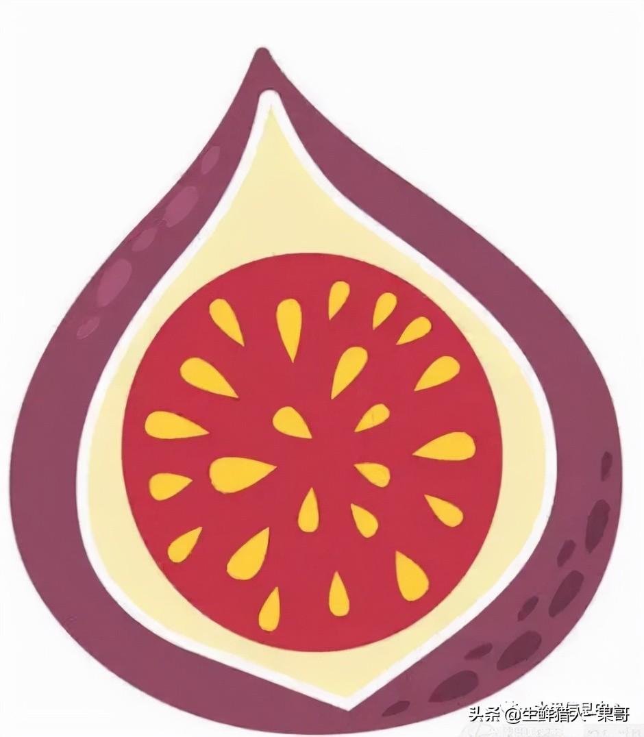 浆果是什么，浆果是什么软件（不同水果的不同包装<浆果篇>）