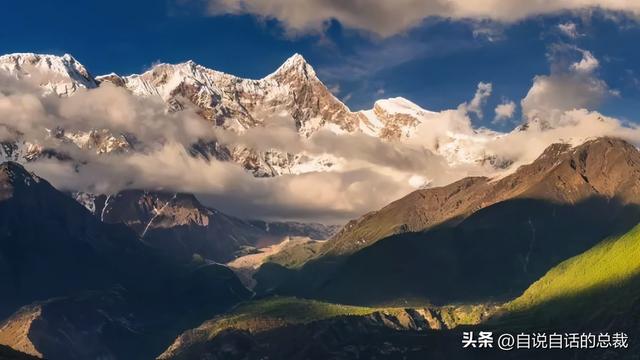 塔黄是什么植物，它被藏民预言为末日神山