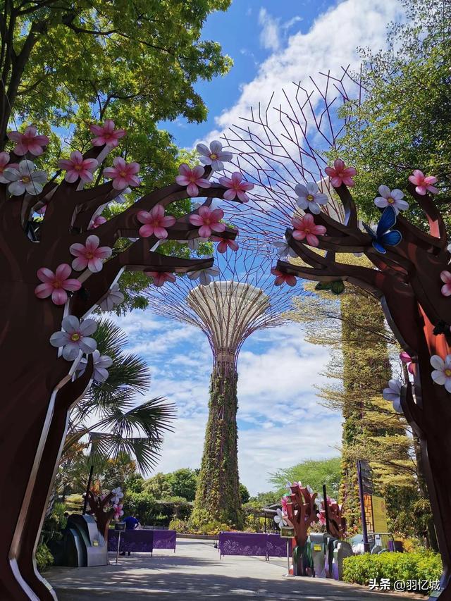 新加坡有什么特产，新加坡有什么美食特产除了肉干（宝藏级的新加坡旅游攻略）